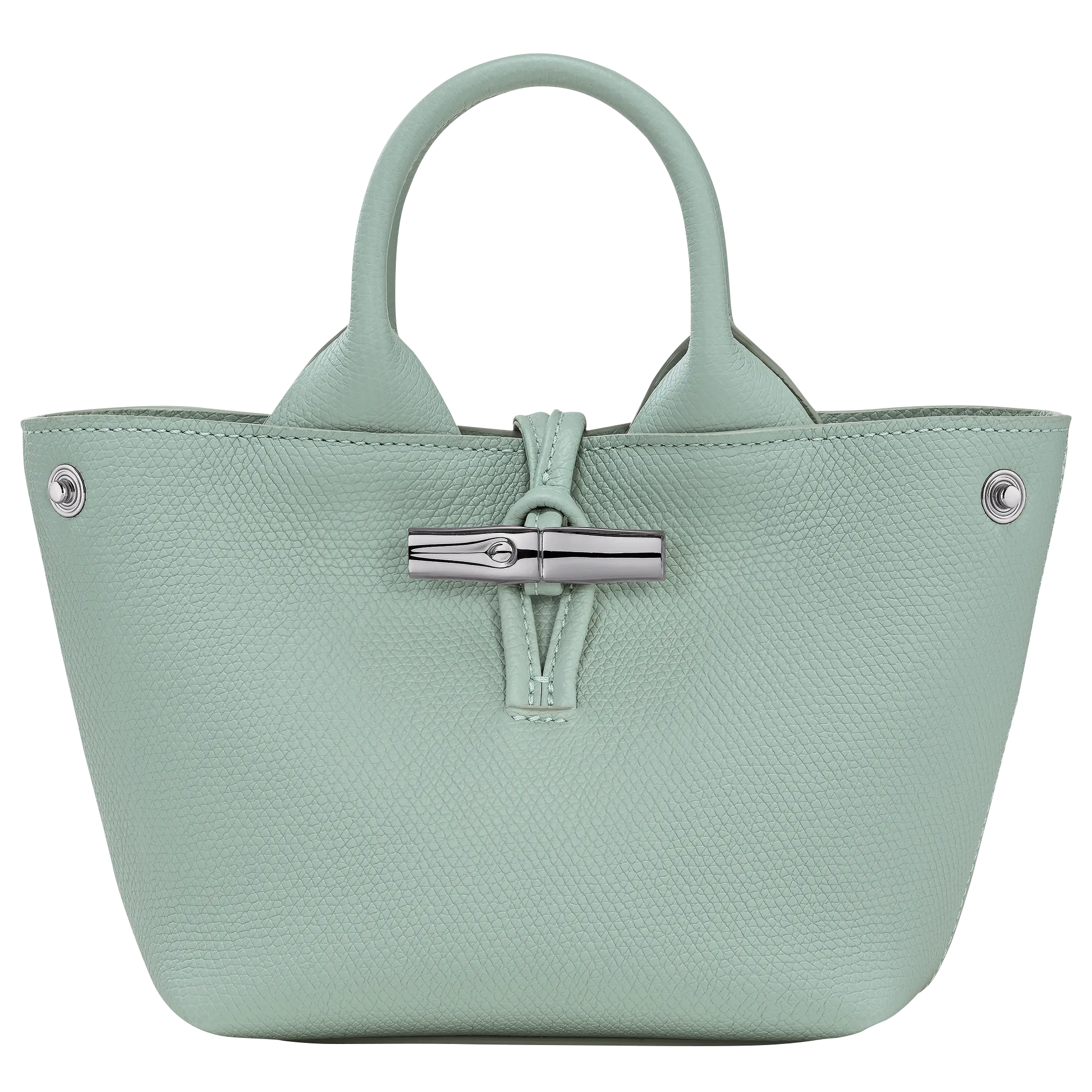 Le Roseau XS Handbag Celadon - Leather